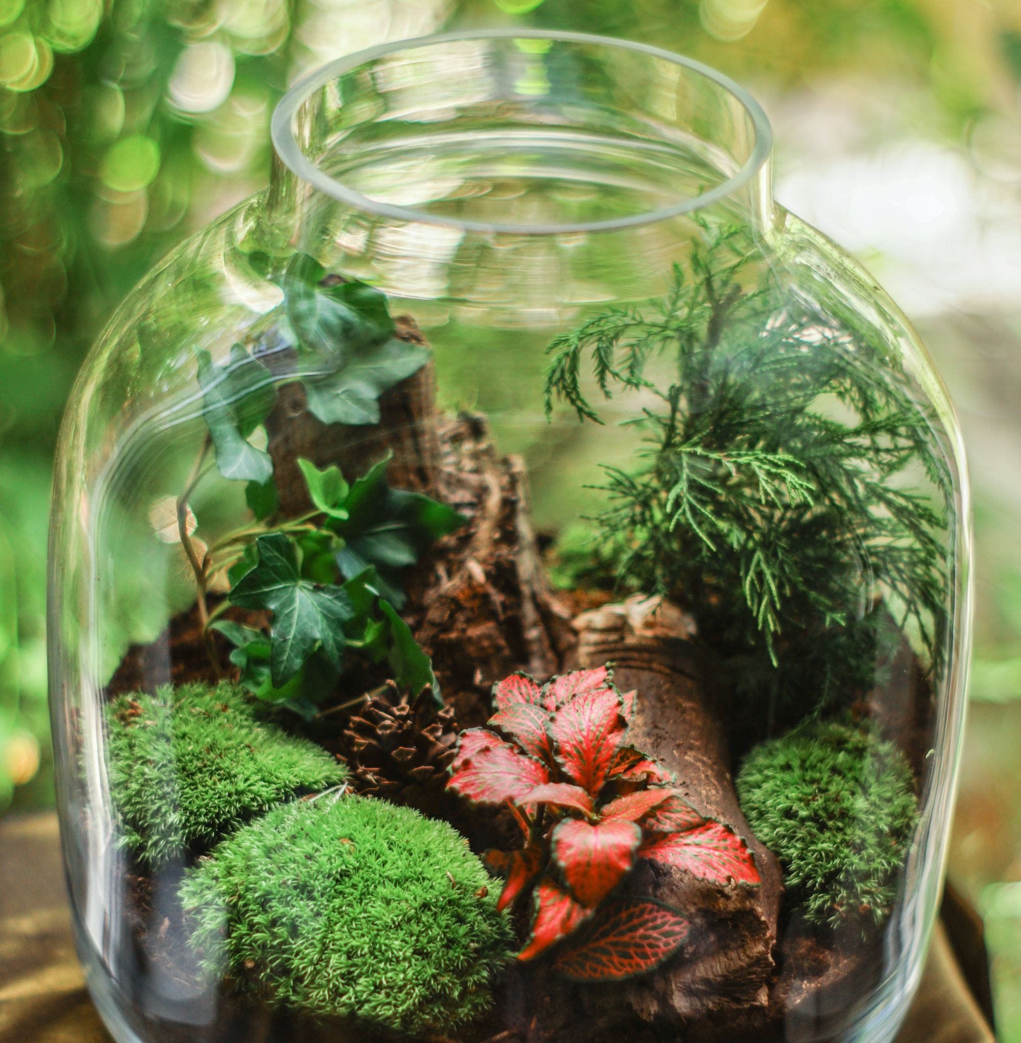 A green terrarium