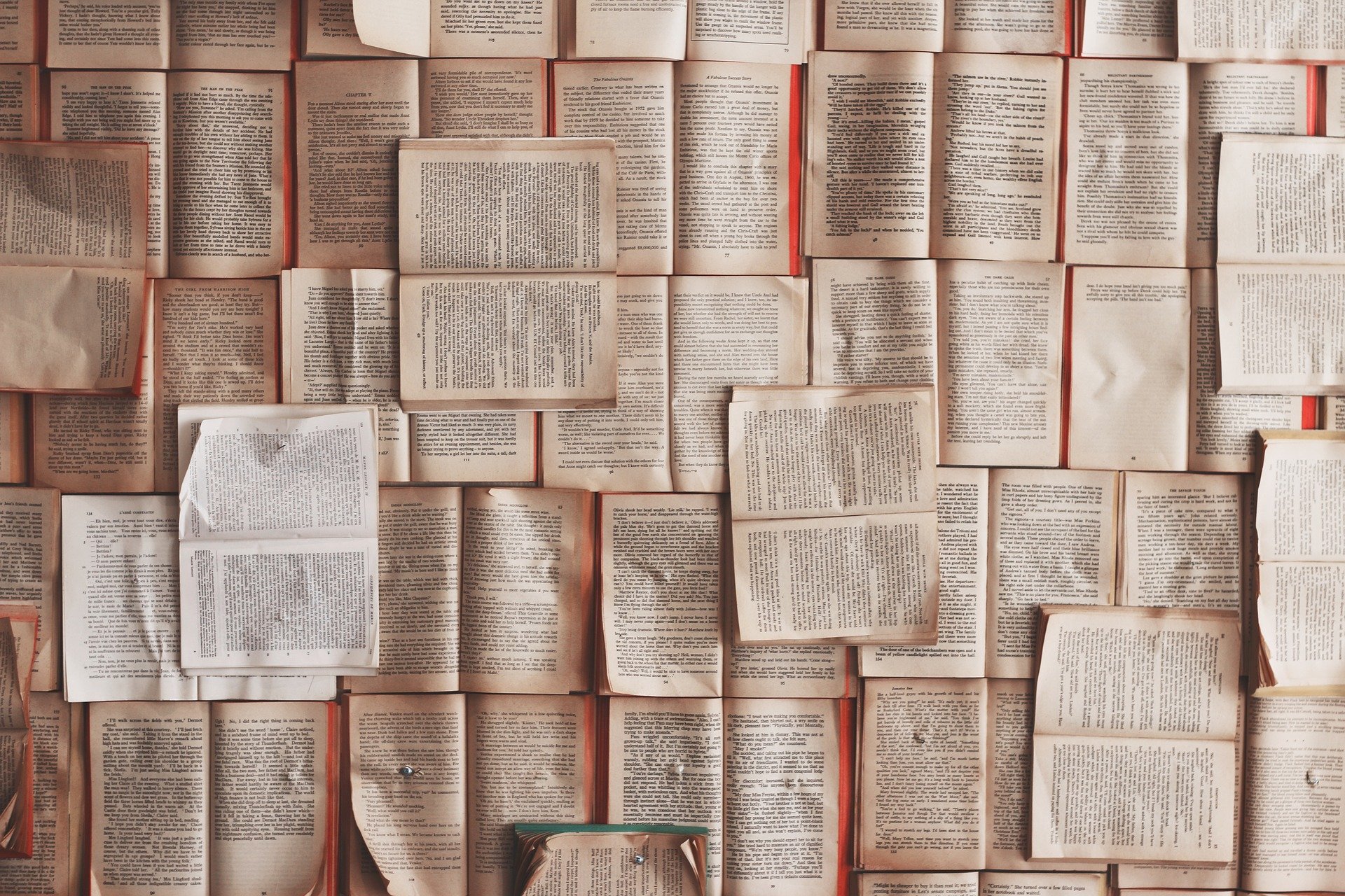 A wall of books