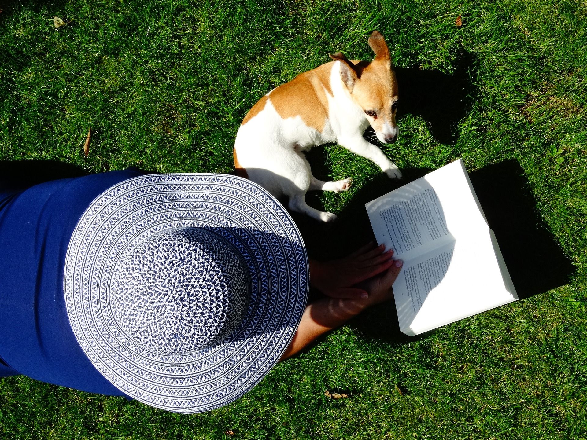 Lady with sun hat and cat