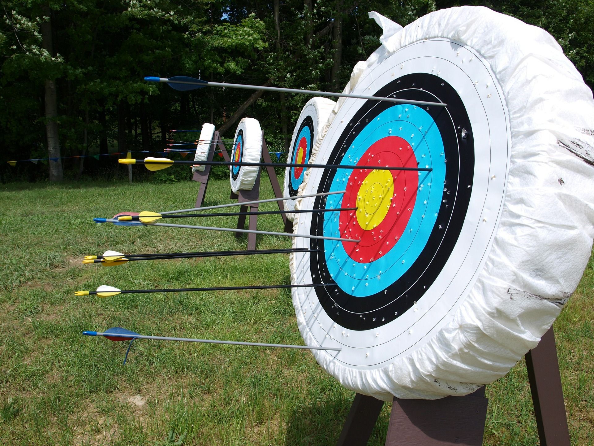 Arrows in a target on grass