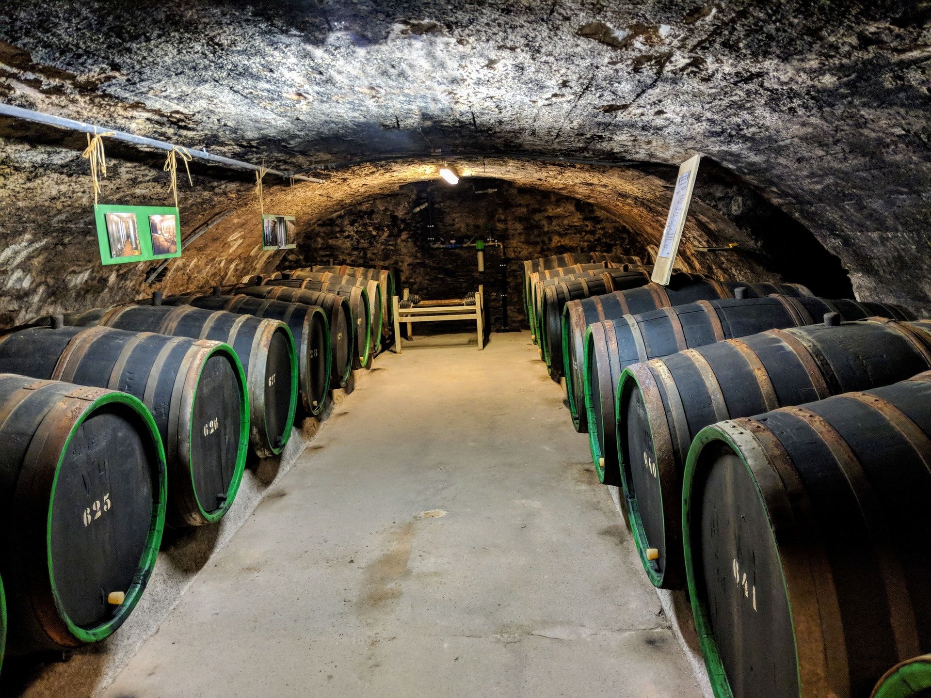 Celler with wine barrells; WSET Level 2 exam