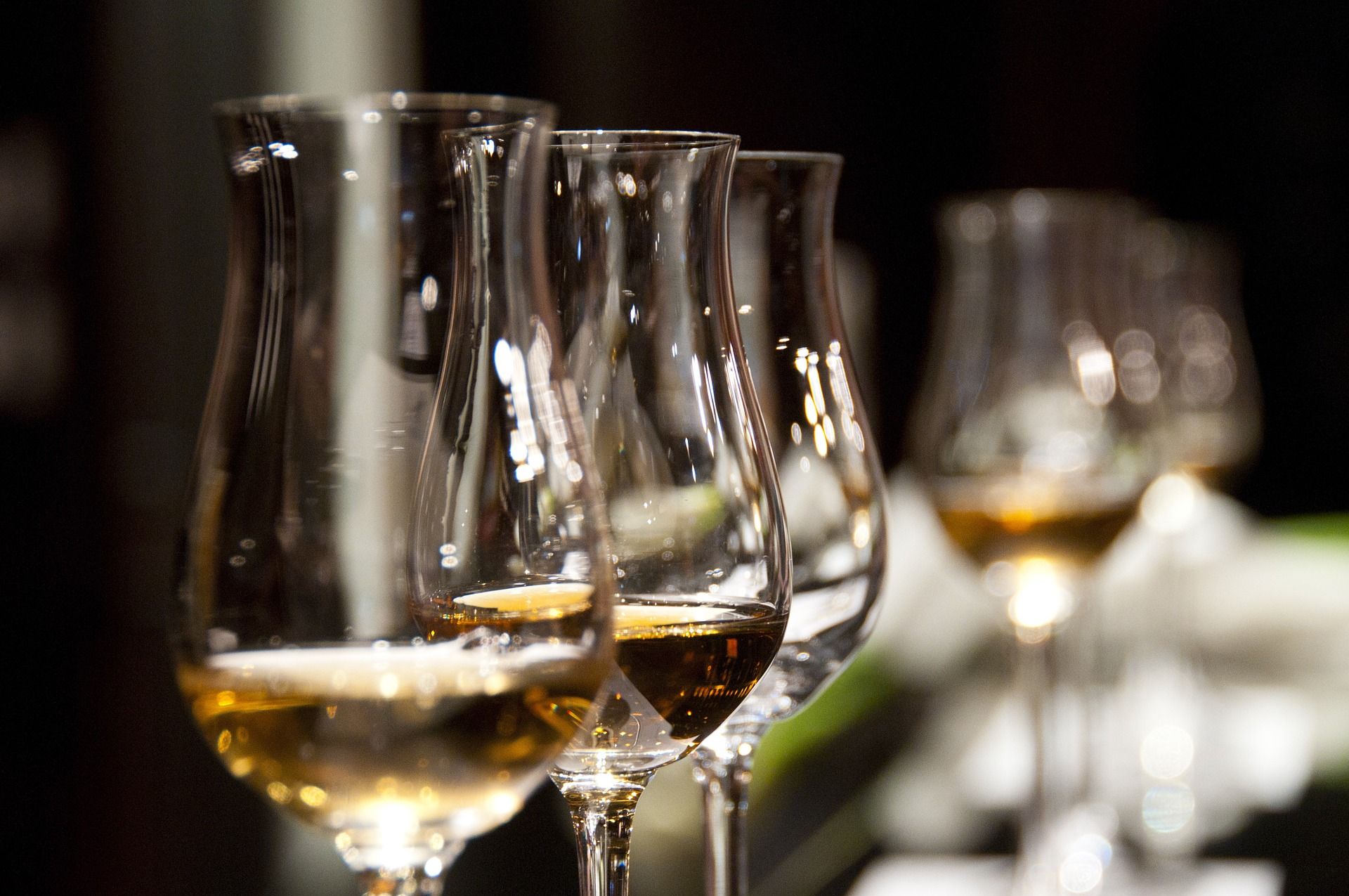 A row of wine glasses with wine