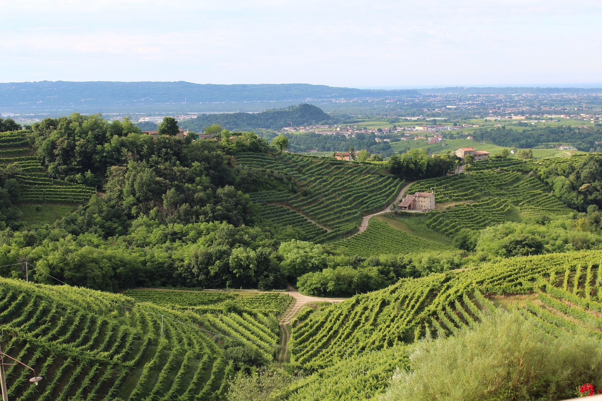 The gorgeous vineyard-carpeted hills of Treviso, northern Italy