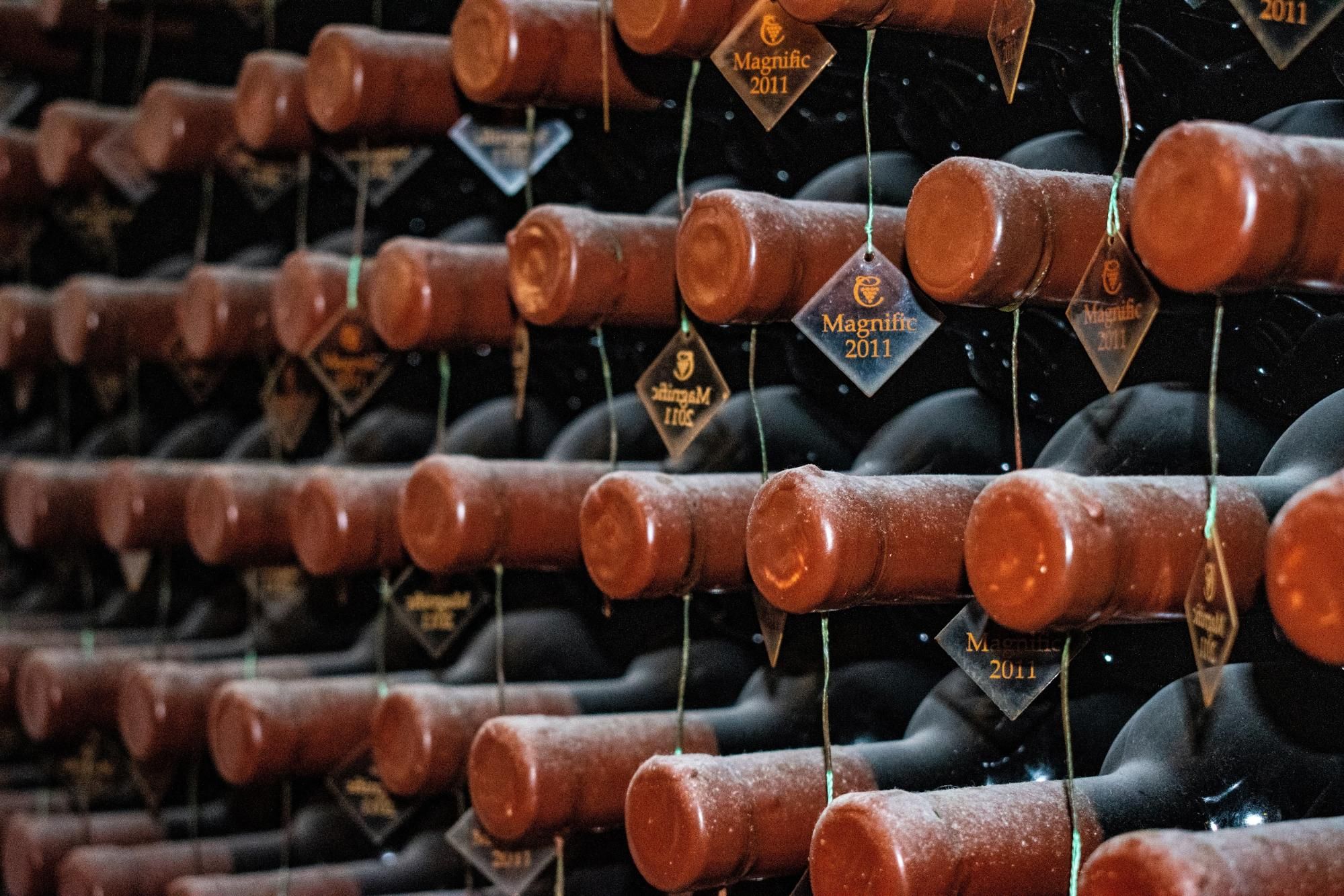 Wine barrels; wine sommelier