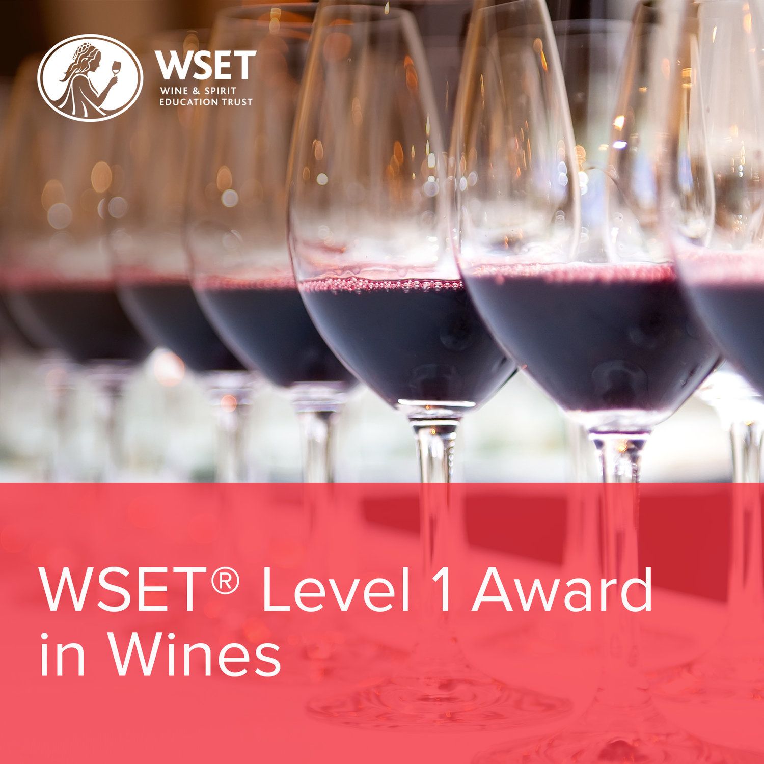Acing the WSET Level 1 wine exam