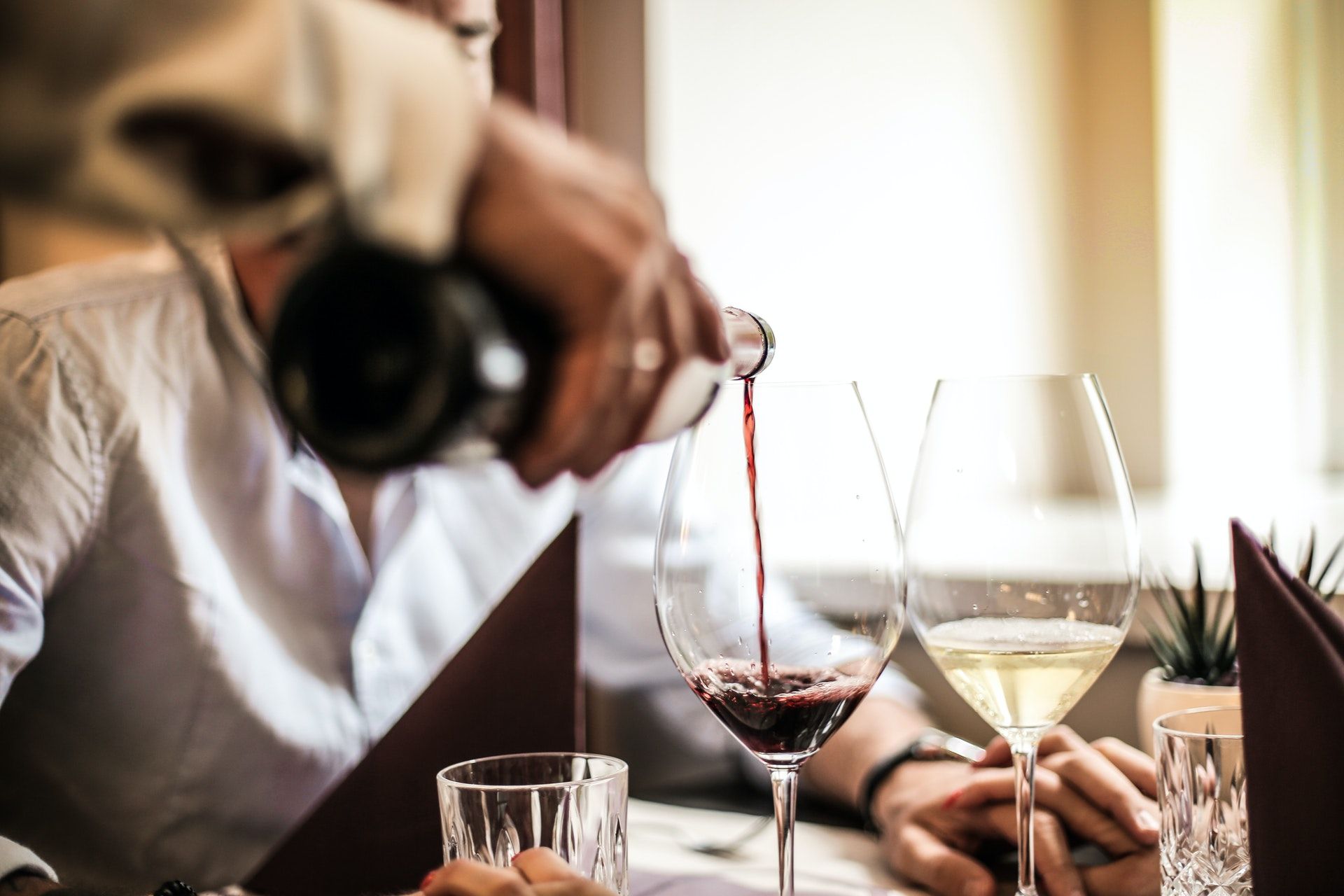 Waiter pouring red wine; WSET Level 1 wine exam