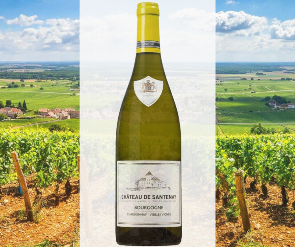 Bourgogne Blanc; White Burgundy wine