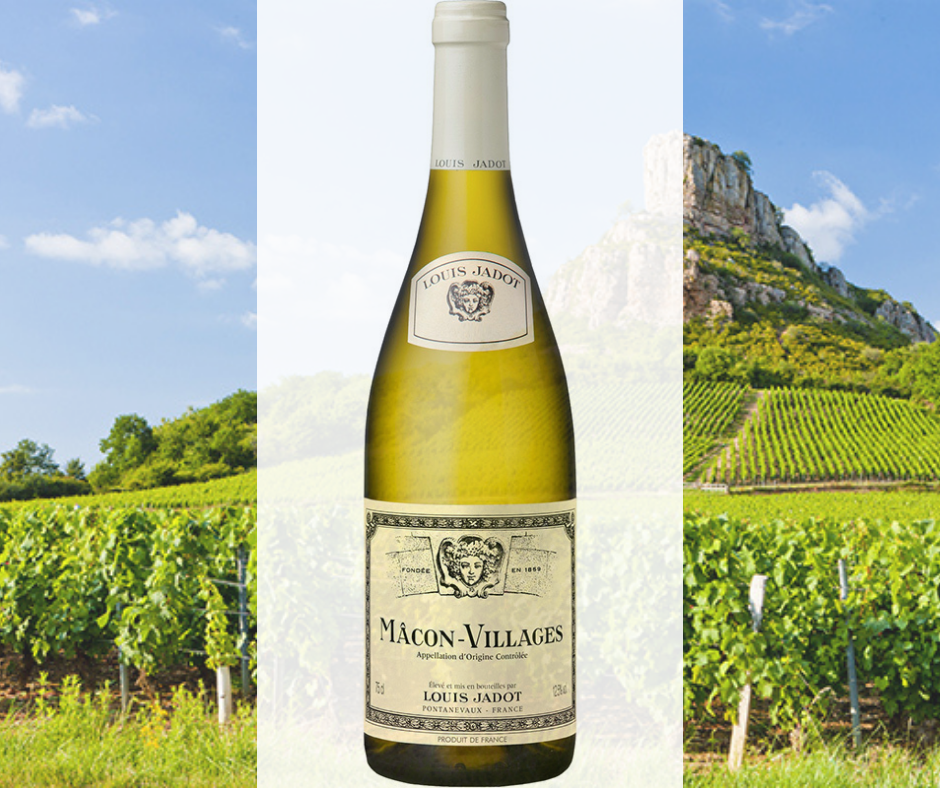 Mâconnais wines; White Burgundy wine