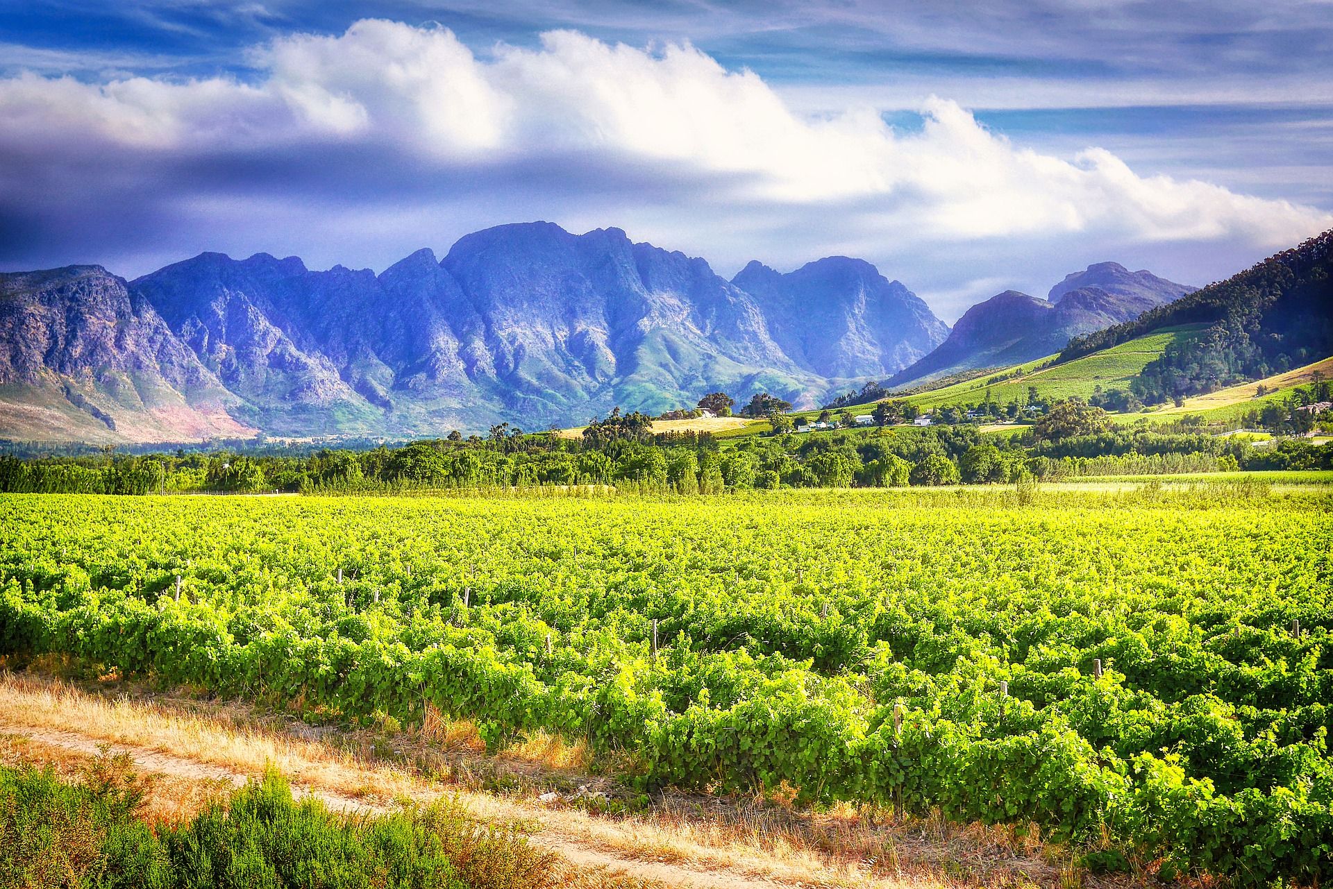 Landscape; Court of Master Sommeliers Level 1