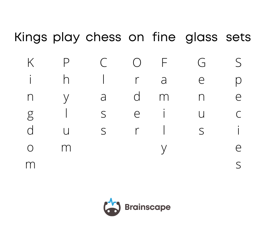 Do Mnemonics And Other Memorization Techniques Really Work Brainscape Academy