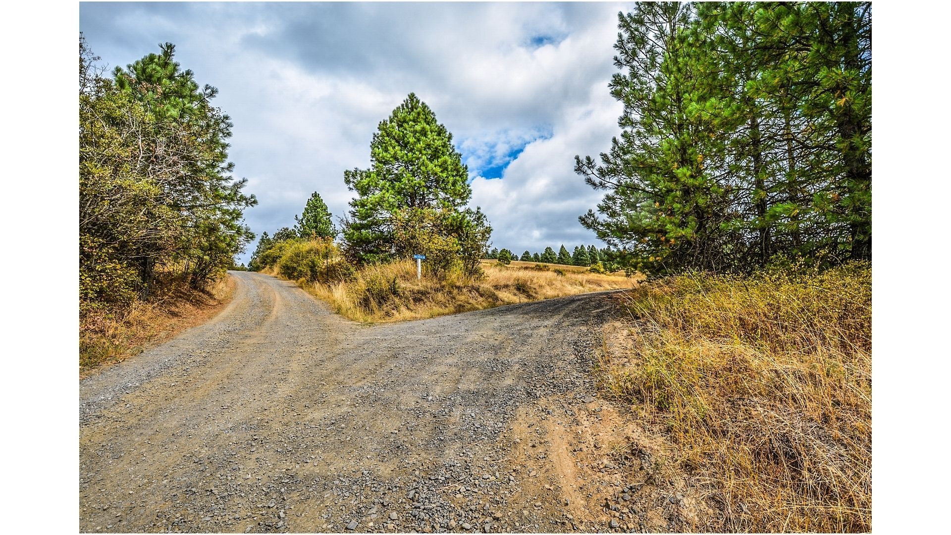 Career path fork in the road with sign