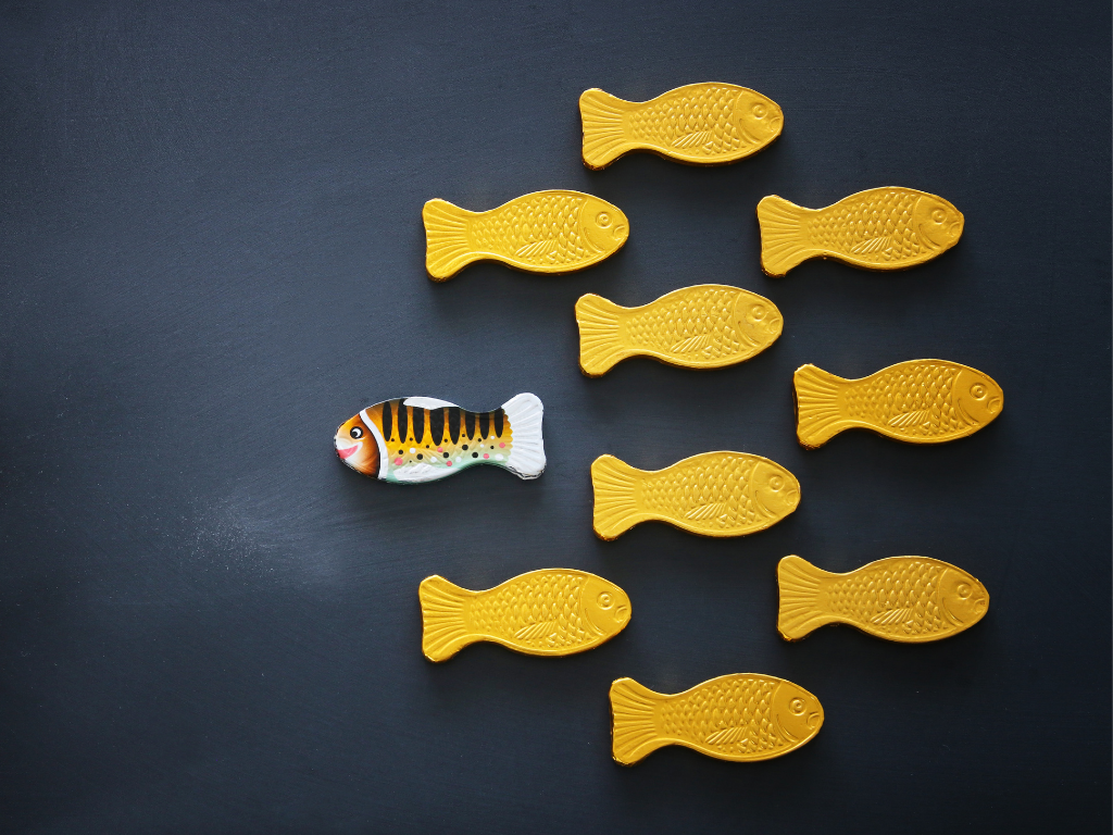 Many yellow fish and one patterned fish; elearning business