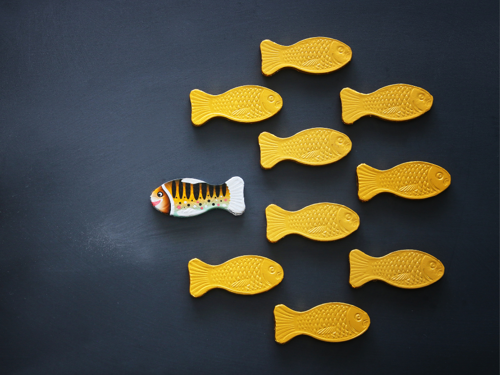 Muchos peces amarillos y un pez estampado;  negocio elearning