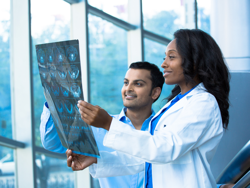 Two doctors looking at scans; Premed courses