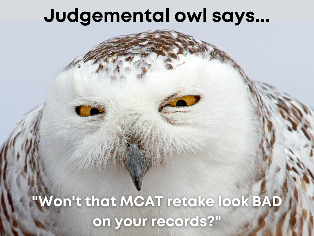 Owl with the words Judgemental owl says "Won't that MCAT retake look BAD on your records?"