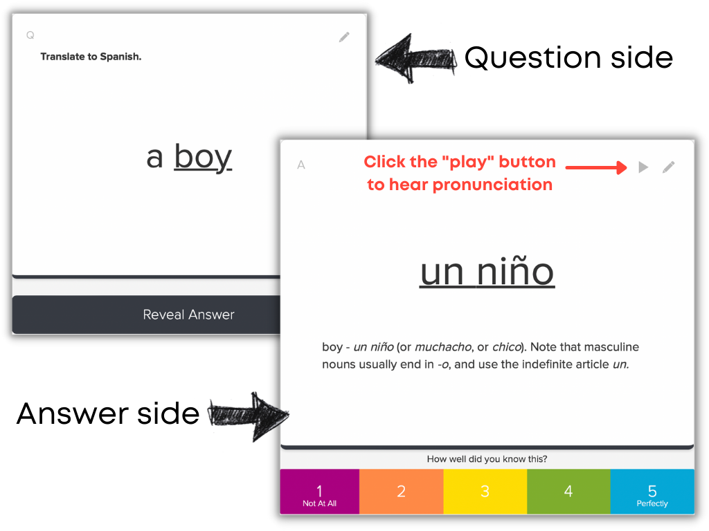 Brainscape web flashcards for Spanish