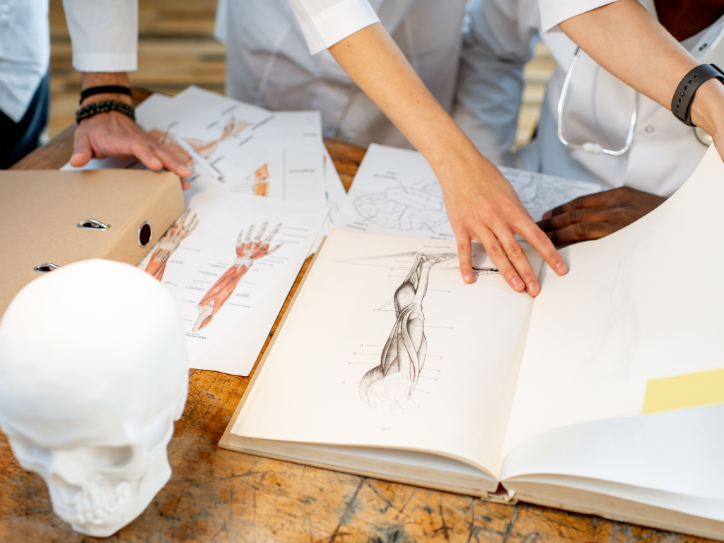 Learning anatomy paramedic training