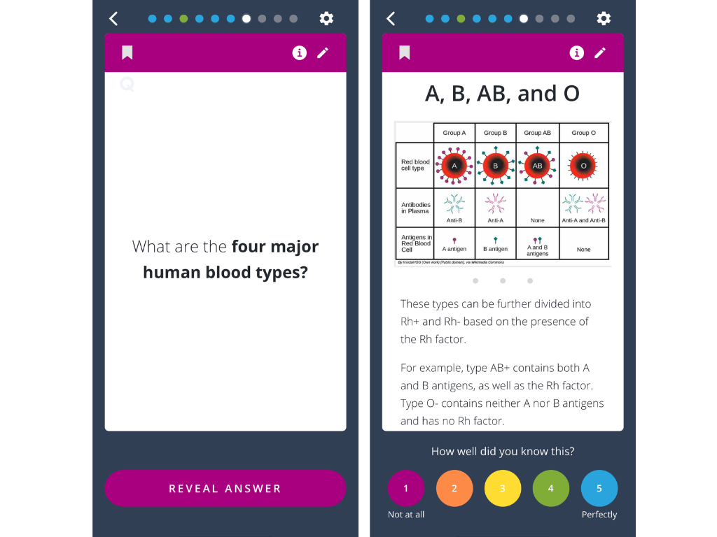 Brainscape's flashcards use bionic reading techniques
