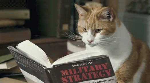 Cat reading Art of War and turning page