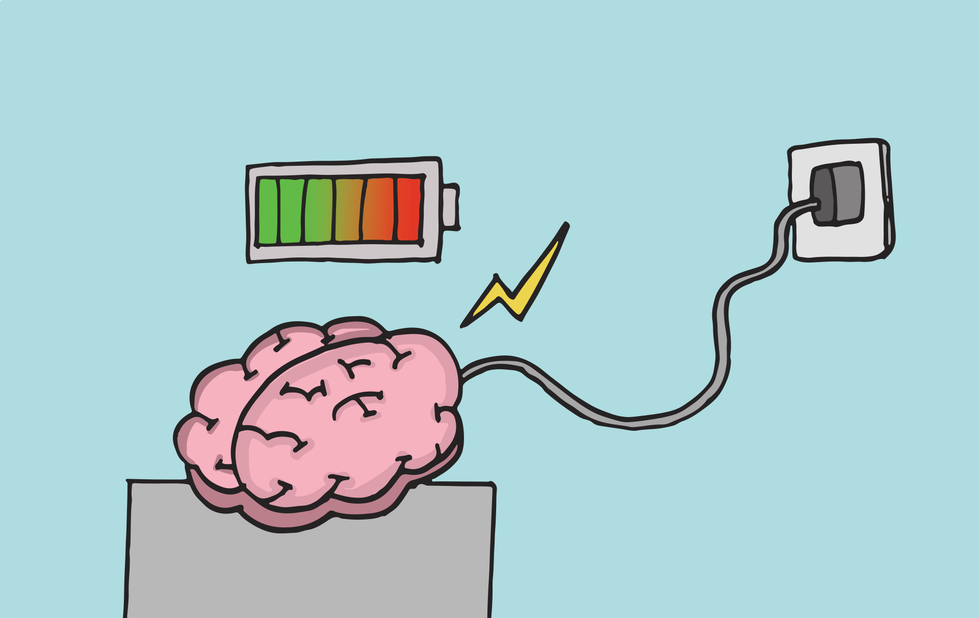 Optimize your brain health for effective studying Brainscape Academy