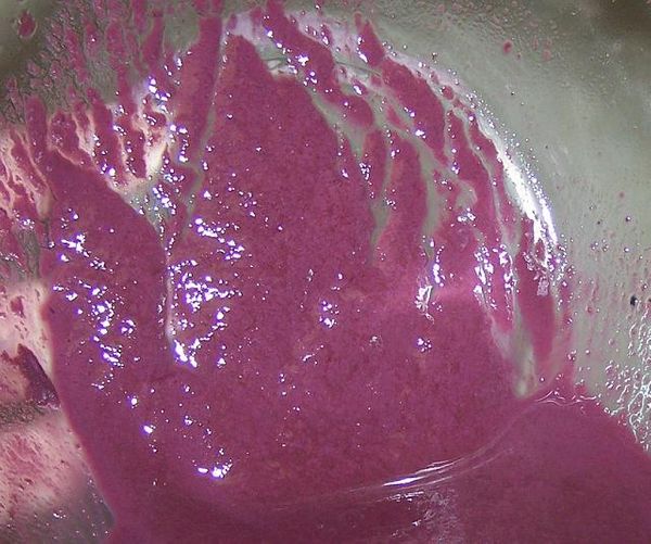 How to make wine at home (you’re Brainscape Academy
