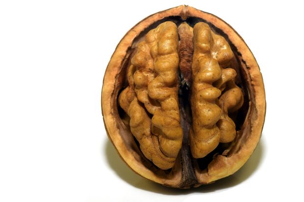Los mejores alimentos para el cerebro para comer antes de una prueba (¡+ muestra de lista de compras!)