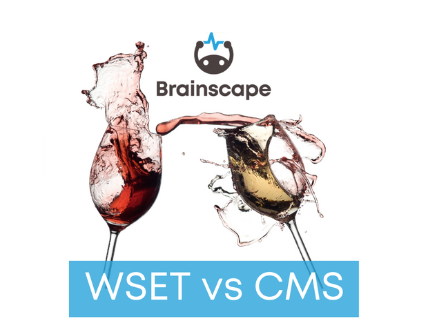 ¿Cuál es la diferencia entre los niveles de sumiller de CMS y las certificaciones de vino WSET?