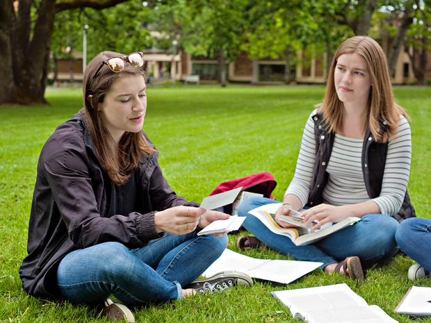 Are Flashcards Effective for Studying?